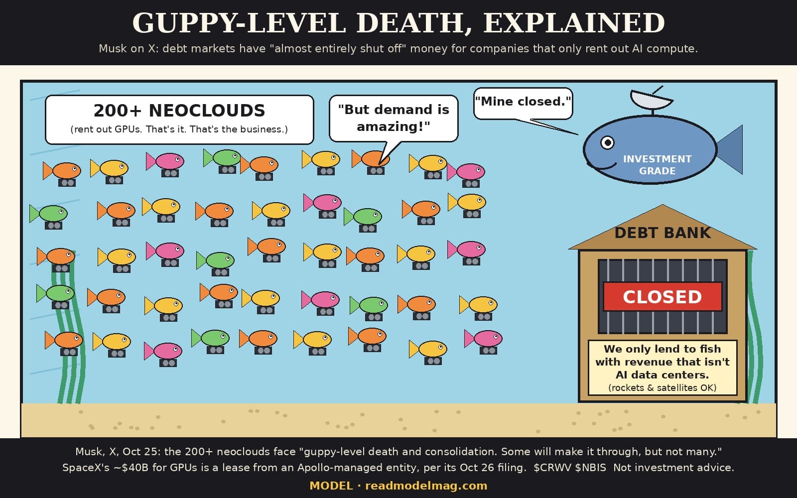 Cartoon titled Guppy-level death, explained. An aquarium is full of about forty small colorful guppies, each carrying a tiny graphics card, under a label reading 200+ neoclouds: rent out GPUs, that's it, that's the business. One guppy says: But demand is amazing! On the right a sunken building labelled Debt Bank has a red CLOSED sign behind bars and a notice: We only lend to fish with revenue that isn't AI data centers (rockets and satellites OK). Above it a big blue fish with a satellite dish on its back, labelled Investment grade, says: Mine closed. Footer quotes Musk on X, Oct 25, that the 200+ neoclouds face guppy-level death and consolidation, notes SpaceX's roughly $40B for GPUs is a lease from an Apollo-managed entity per its Oct 26 filing, $CRWV $NBIS, Not investment advice. Watermark: MODEL, readmodelmag.com.